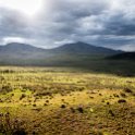 TZA ARU Ngorongoro 2016DEC25 007 : 2016, 2016 - African Adventures, Africa, Arusha, Date, December, Eastern, Month, Ngorongoro, Places, Tanzania, Trips, Year